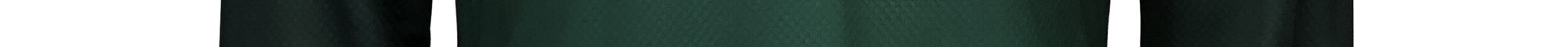 Pargasite Green