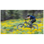 Stumpjumper 15 Comp Alloy