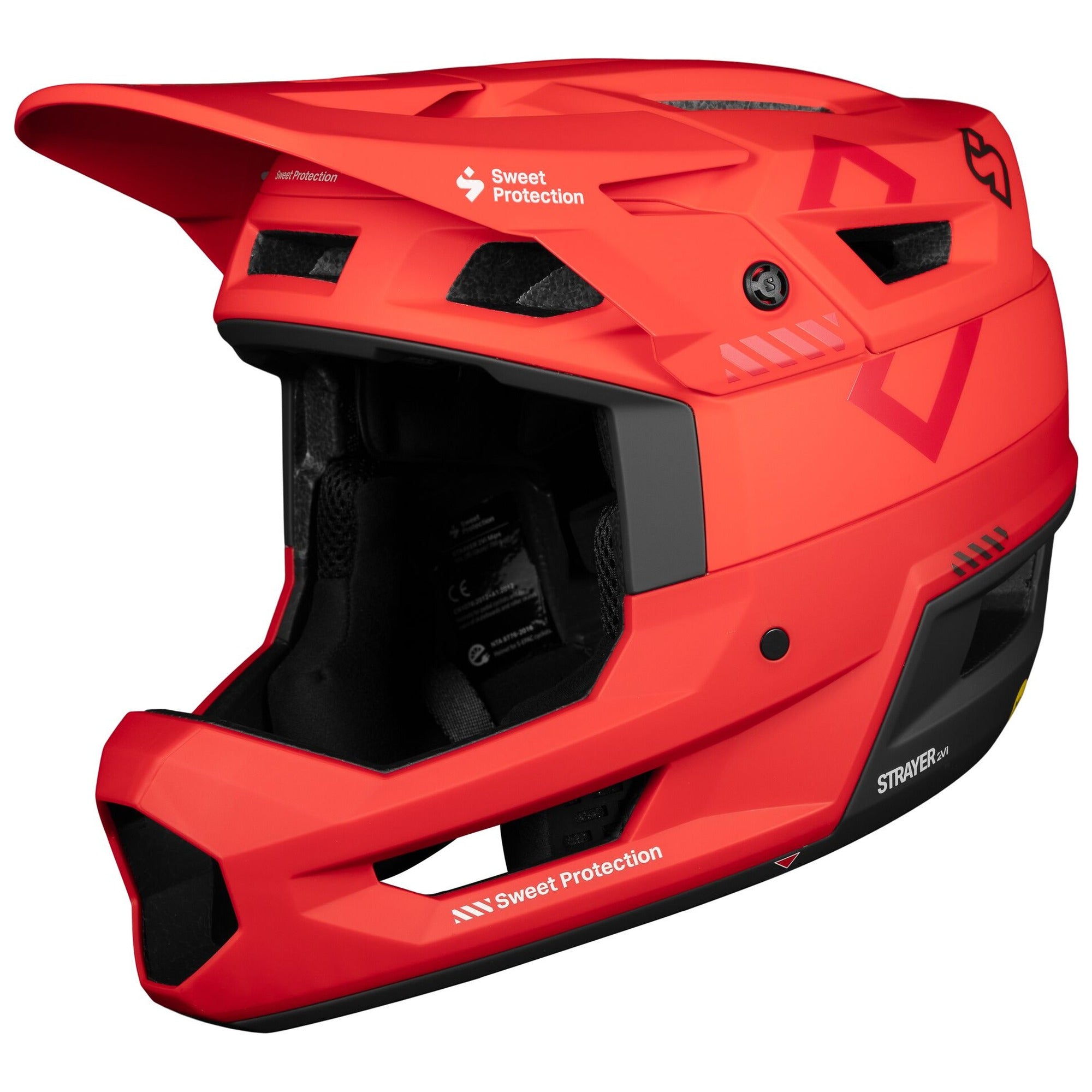Strayer 2Vi Mips