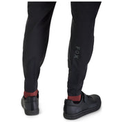 RANGER PANT