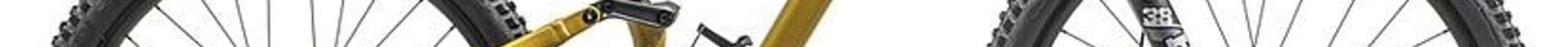 SATIN HARVEST GOLD TINT / OBSIDIAN / DUNE WHITE