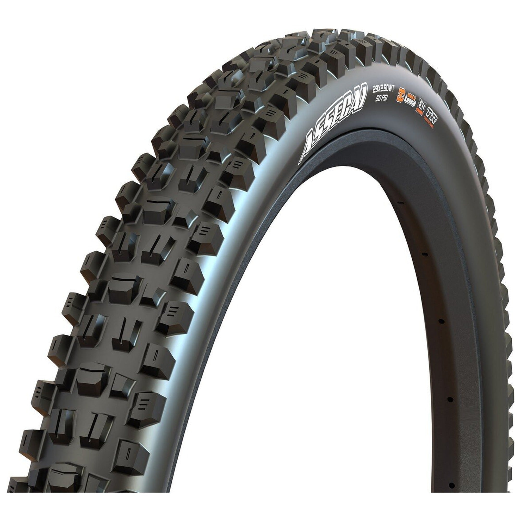 Assegai 3C MaxxTerra/EXO+/TR 29x2.50