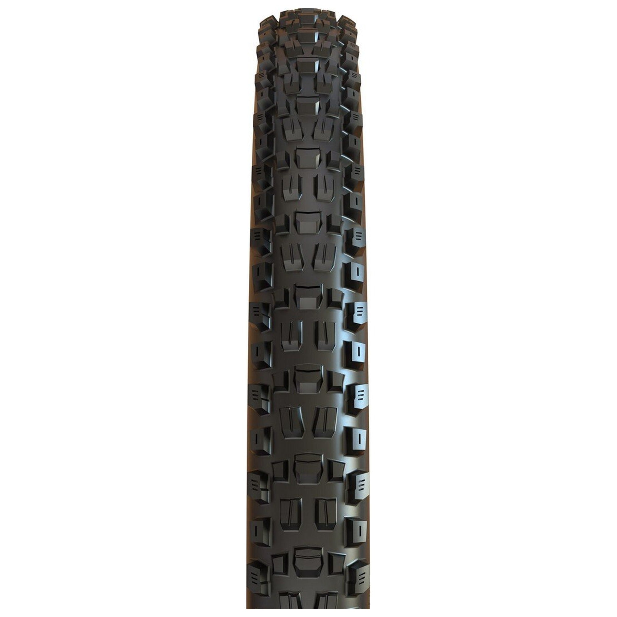 Assegai 3C MaxxTerra/EXO+/TR 29x2.50