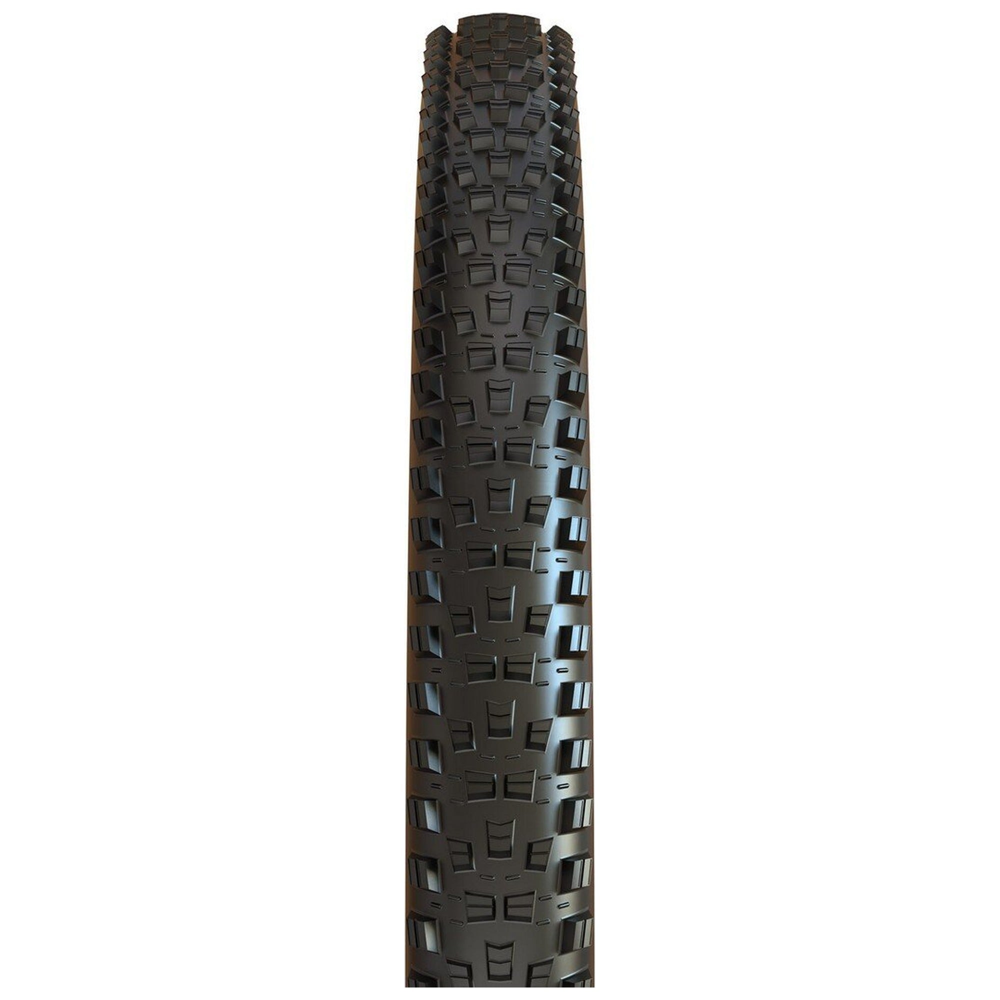 Forekaster 3C MaxxTerra/EXO/TR 29x2.40
