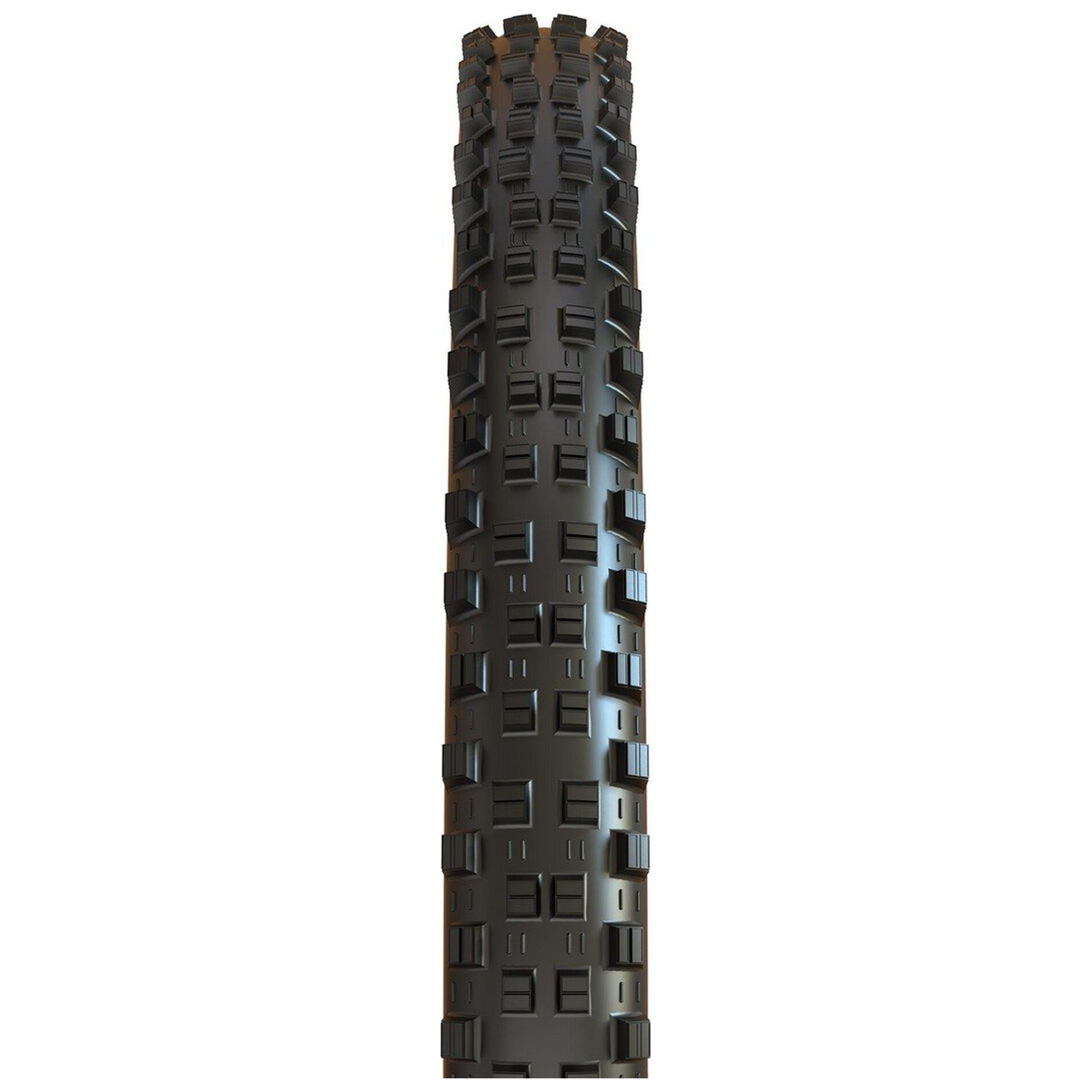 Shorty 3C MaxxTerra/EXO/TR 29x2.50